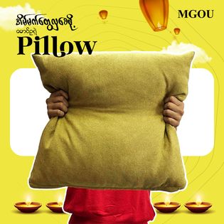 Cushion
