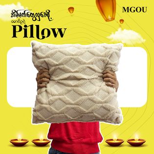 Cushion
